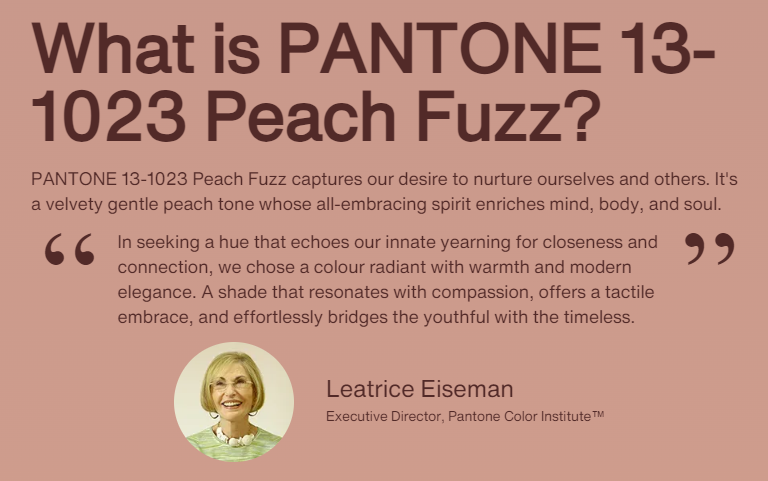 Pantone Peach Fuzz 2024